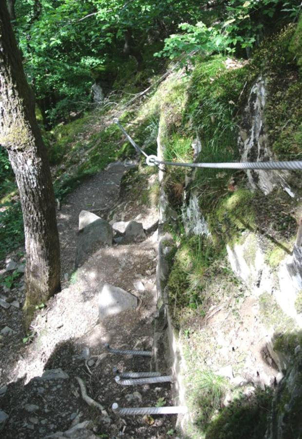 Ferienwohnung Am Reitersgaesschen Blankenrath Esterno foto